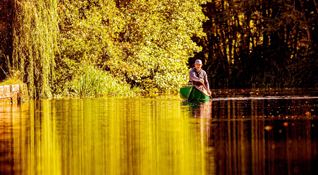 Silverbirch Broadland 15