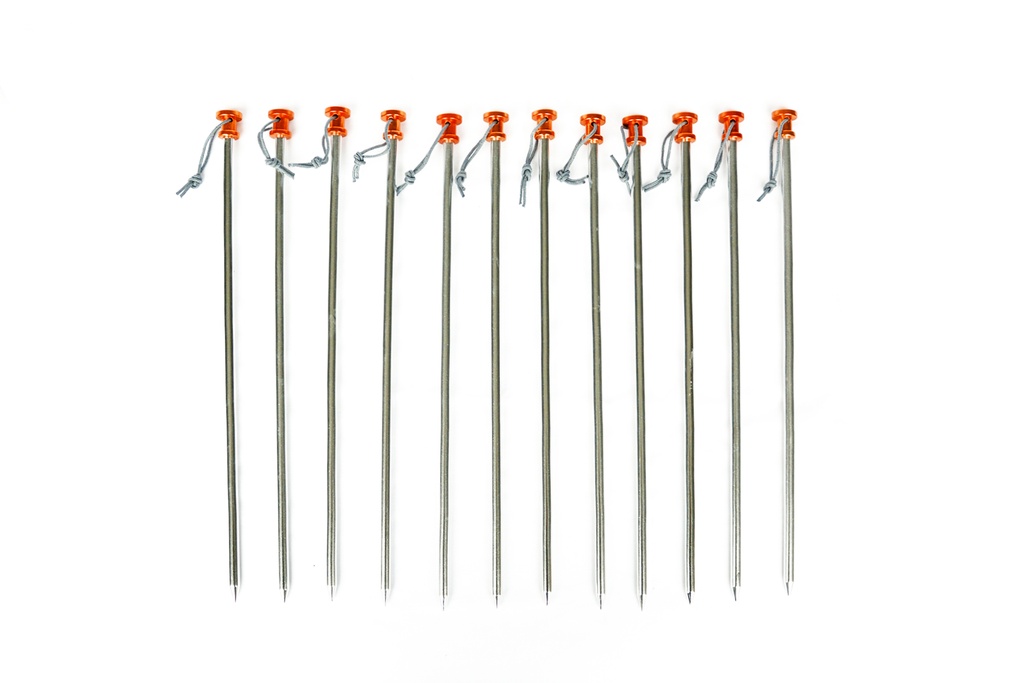 DD Heavy Duty Pegs x12