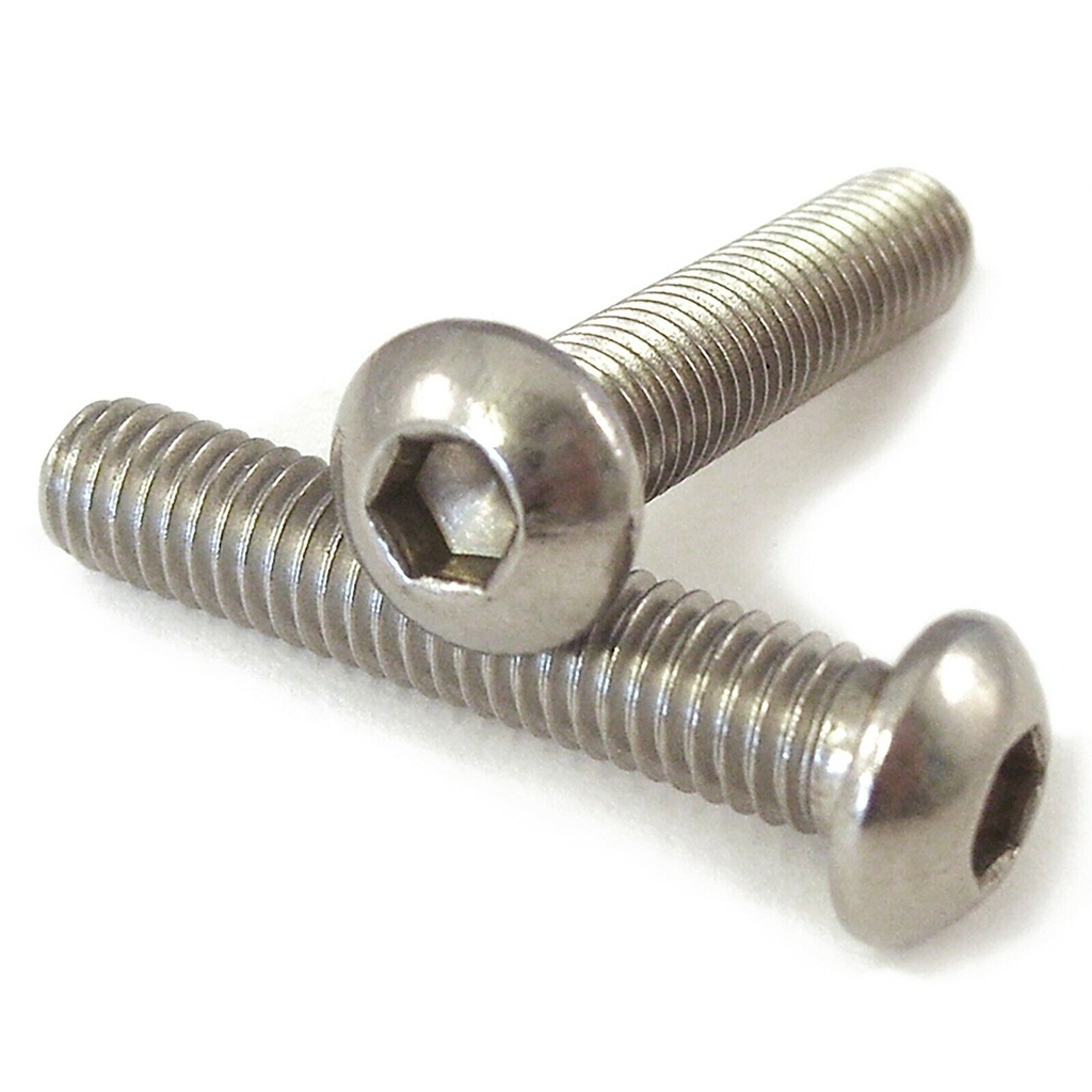 M6 x 40 Socket Button A2 S/S